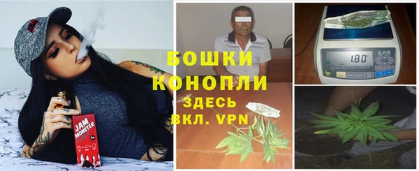 PSILOCYBIN Белоозёрский