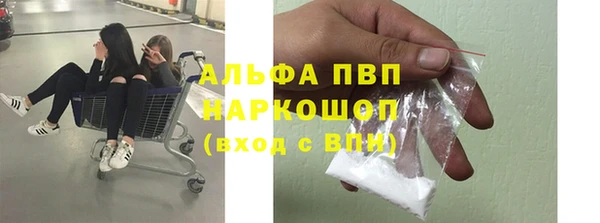 PSILOCYBIN Белоозёрский