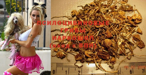 PSILOCYBIN Белоозёрский