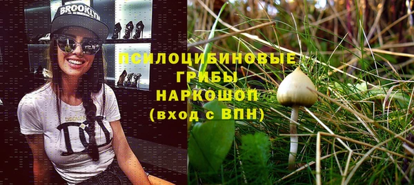 PSILOCYBIN Белоозёрский
